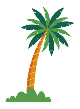 palm tree with bush icon cartoon