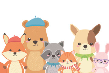 Cat fox raccoon bear dog and rabbit design