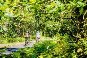 couple de retraités se promenant en vélo dans une magnifique forêt