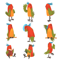 Funny Bird Cartoon Character in Different Situations Set, Cute Birdie with Bright Colorful Feathers and Tuft Vector Illustration