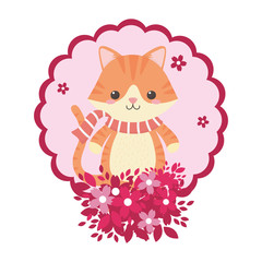 Cat cartoon with scarf design