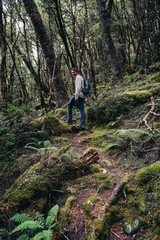 Naklejka na ściany i meble moss trees at Cradle Mountain hiking Tasmania Australia
