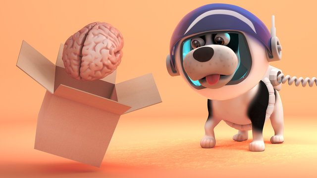 Brave space dog in spacesuit explores Mars and finds a brain in a box, 3d illustration