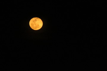 Obraz premium Luna dorada (Golden moon)