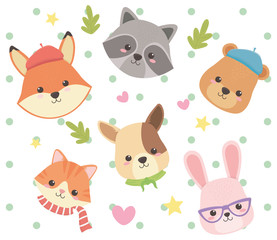 Cat fox raccoon bear dog and rabbit design