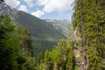 suspension bridge in alpine region