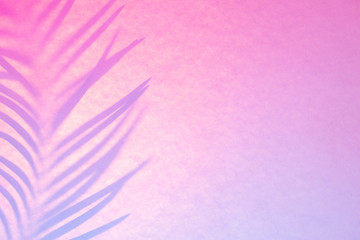 Fototapeta na wymiar Shadow of palm leaf in trendy duotone backlight. Abstract background in pink lilac neon colors