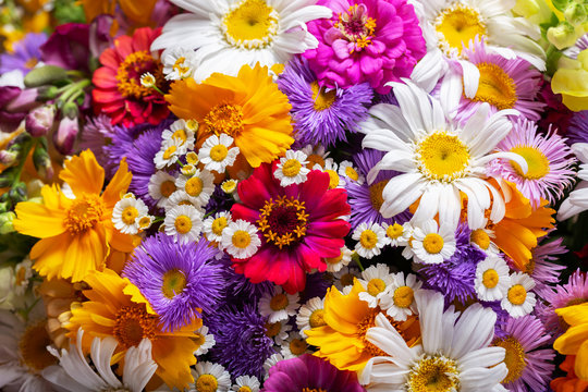bouquet of various summer flowers as background