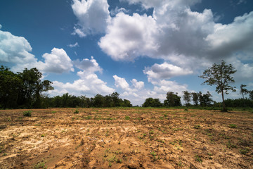 Landschaft Landwirtschaft