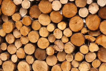Möbelaufkleber Firewood Wall  © Stefan