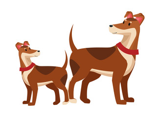 domestic animals and pet icon