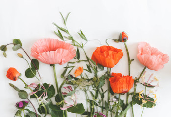 Naklejka premium Flowers herbarium on vintage background. Floral art. Floral design. Botanical background. Poppies flowers