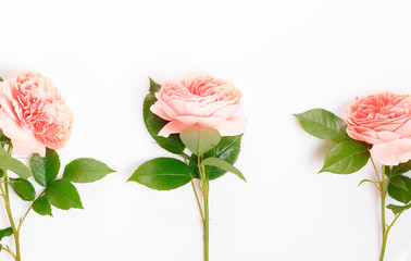 Festive flower composition on the white background. Overhead view