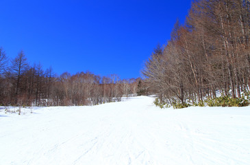 スキー場　風景