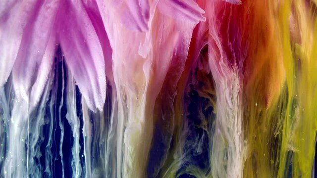 Flowers of pyrethrum. Colorful ink in water.