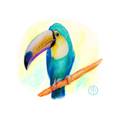 Tucan in den Farben eines Papagai. Aquarell Malerei, die es so in keinem Zoo weltweit oder der freien Natur, z.B. im Dschungel, Regenwald, Urwald, Afrika, Asien, Südamerika, zu sehen gibt.  © www.barfuss-junge.de
