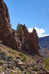 Teide National Park Roques de Garcia in Tenerife at Canary Islands