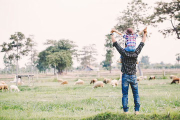 father and son in sheep farm; Farmers take care and feed the animals on the farm.sheep and goat in countryside farm