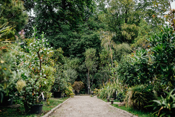 Botanischer Garten Greifswald im Juni 2019
