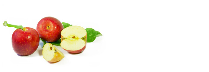 New popular apple species, isolated, banner