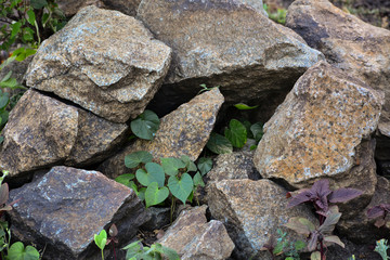 Granite