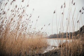 Insel Rügen im März