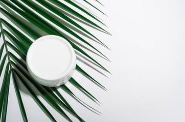 White jar of cream on a white background with tropical palm leaves. Stylish look of the product. Copy space.