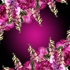 Beautiful floral background of burgundy peonies and digitalis, Isolated