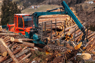 Fototapeta premium Woodcutter log truck tree harvester working in forest. Concept industry cut wood