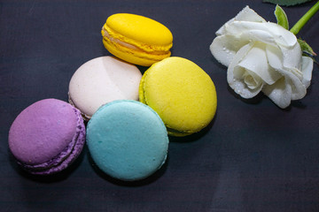 Macaroon cakes of different colors lie on a dark background, next to a white rose.   