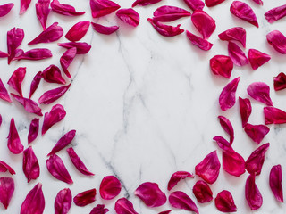 Red burgundy peony petals flat lay in round shape on white marble background. Flower petals with copy space for text or design in center. Creative layout made of flowers leaves. Flat lay pattern.