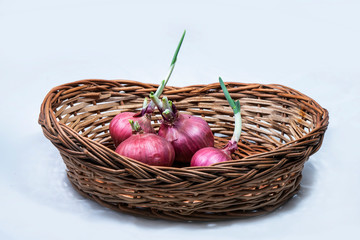 Fototapeta na wymiar onions in a basket