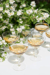 Amber wine in the garden with jasmine flowers.