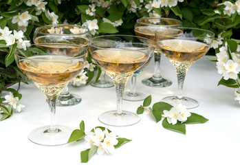 Amber wine in the garden with jasmine flowers.