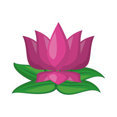 Fototapeta premium lotus blossom flowers icon cartoon
