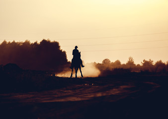 Silhouette of a rider on a horse at sunset