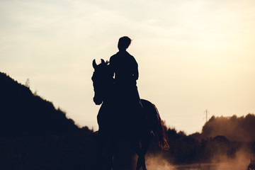 Silhouette of a rider on a horse at sunset