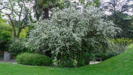 Toulouse - big and bright city in France