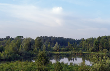 Fototapeta na wymiar Episy swamp nature reserve in the French Gâtinais regional nature park