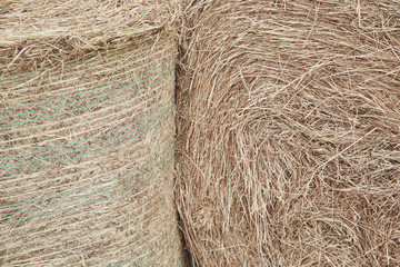 Hay abstract background close up. Straw on the floor background