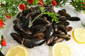 moules fraîches