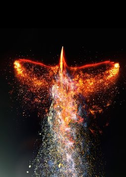 上昇する抽象的な火の鳥 Stock イラスト Adobe Stock