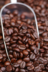 Fototapeta premium coffee beans