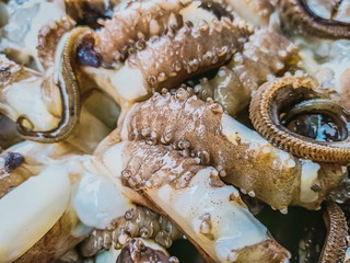 Thai seafood is sold in the morning market.5