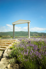 The wonderful Greek arch. amazing views of the vineyards and mountains of Crimea and flowering...