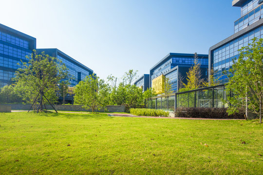 Green Grass Field In Big City Park