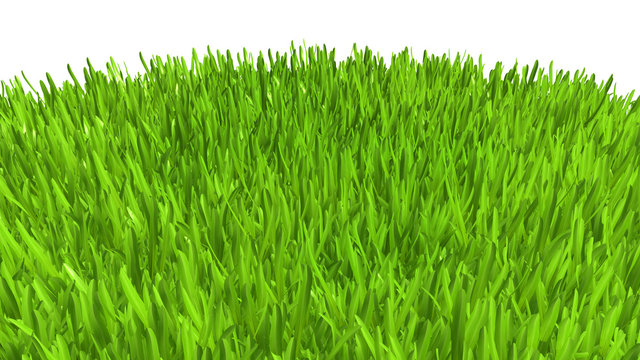 Green grass. background texture. fresh spring green grass. 3d rendering