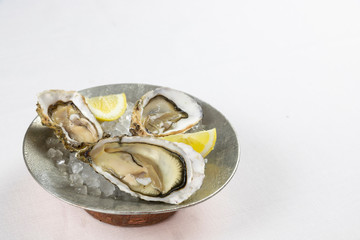 Fresh oysters with lemon's slices in ice. Restaurant delicacy. Saltwater oysters dish.