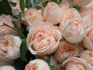 Beautiful wedding bouquet of cream roses. Bush rose for registration of a wedding celebration.