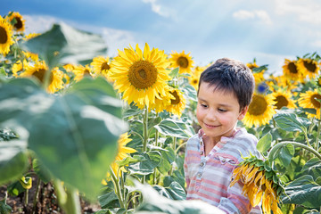 Adorable little kid boy on summer sunflower field outdoor. Happy child sniffing a sunflower flower on green field.